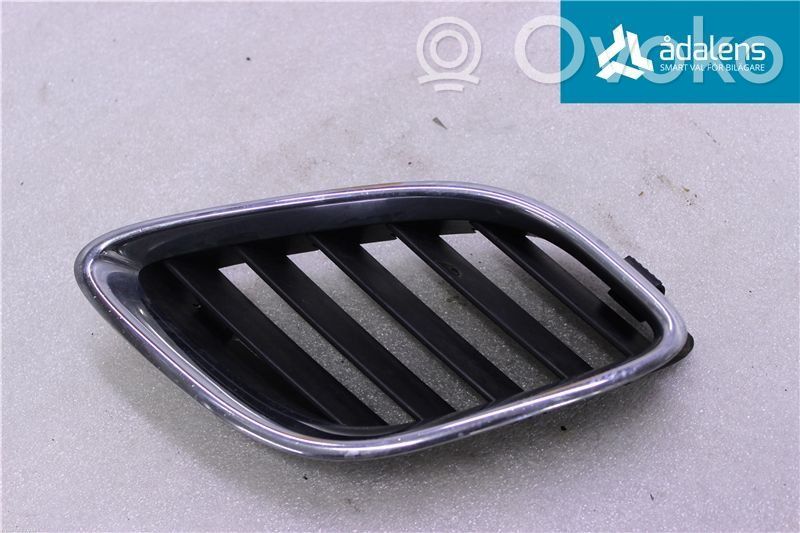 Saab 9-5 Front bumper lower grill 