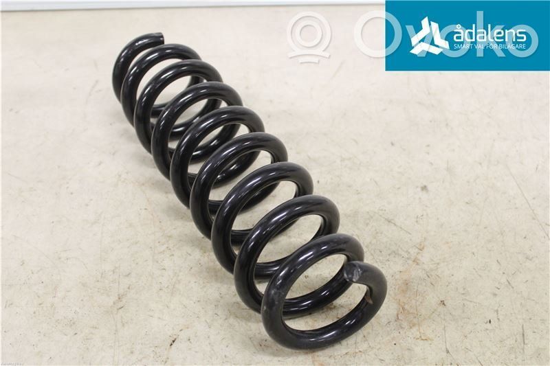 Rear coil spring   33536790119