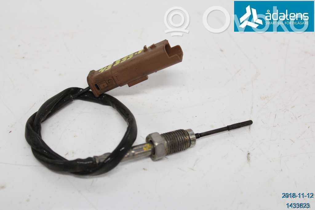 Abgastemperatursensor   1618NF