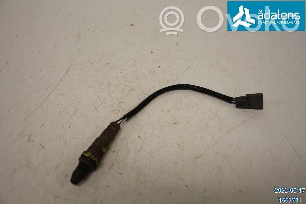 Lambda zondas   226A42790R