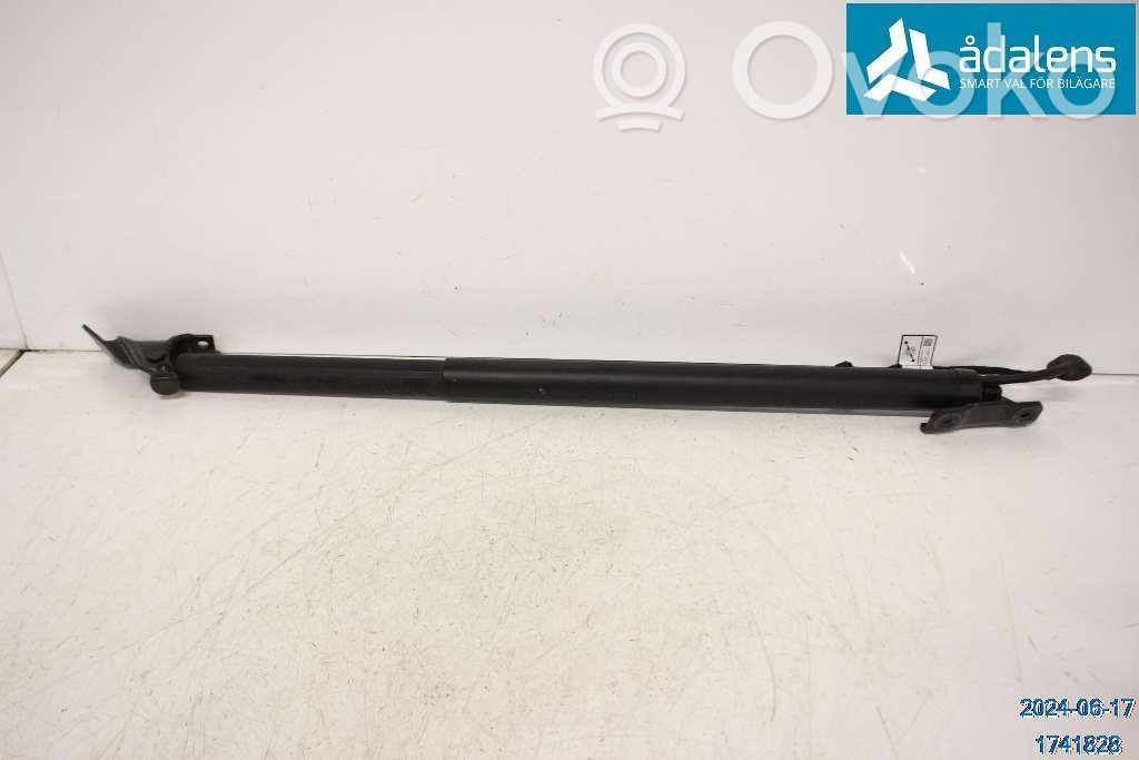Lynk & co 01 Tailgate strut 