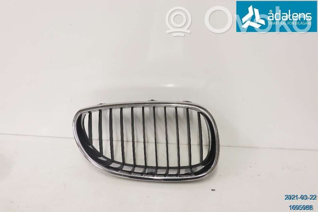 Front bumper lower grill   51137027062
