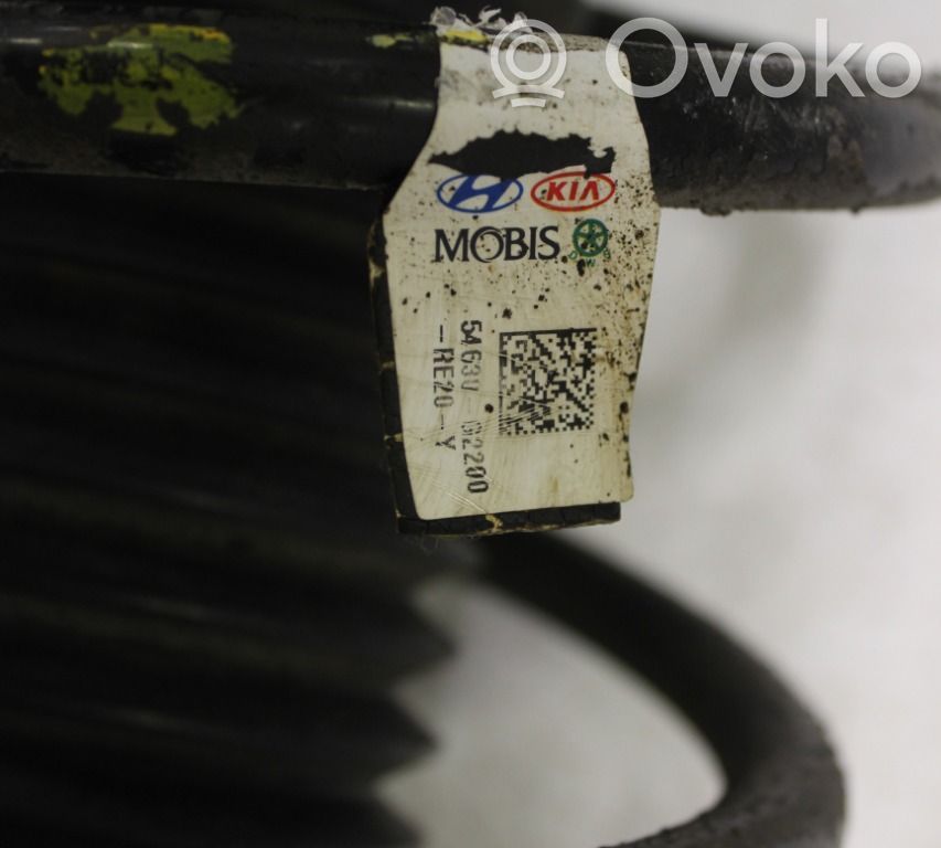 Hyundai Ioniq Ansamblu amortizor cu arc față 