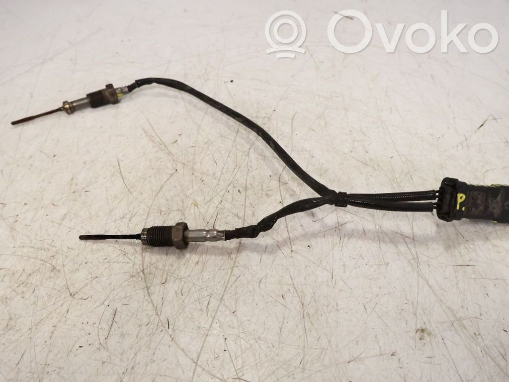 Abgastemperatursensor   9808312080