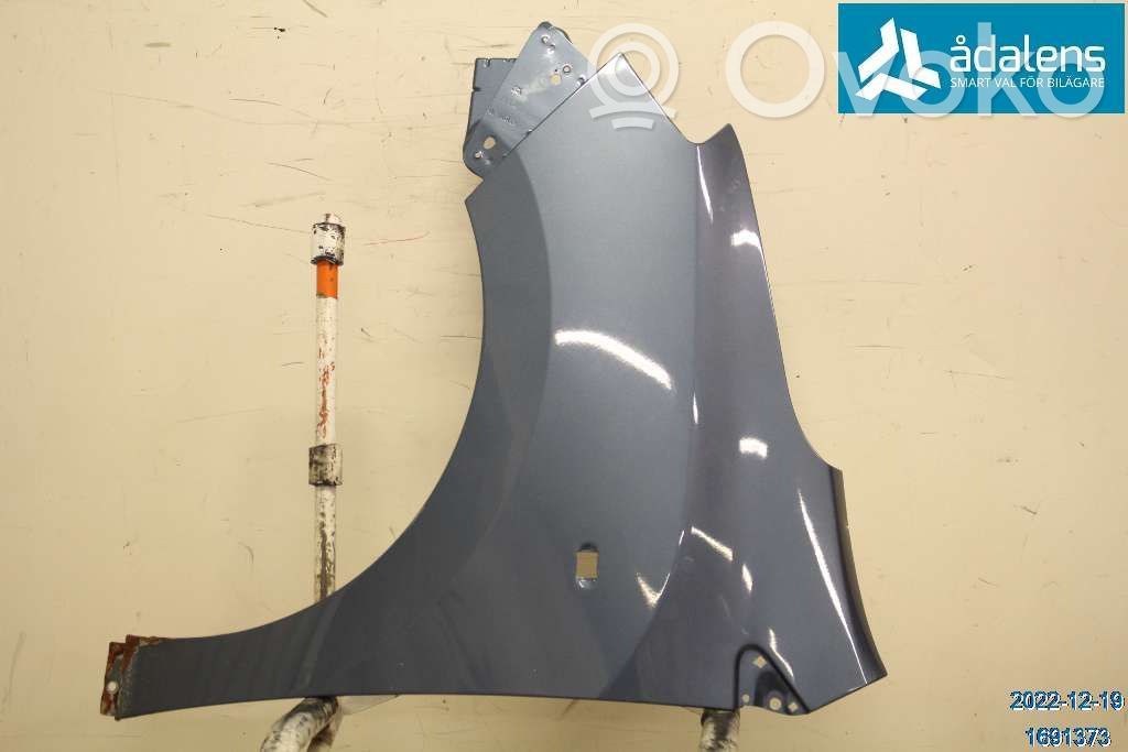 Guardabarro   631016113R
