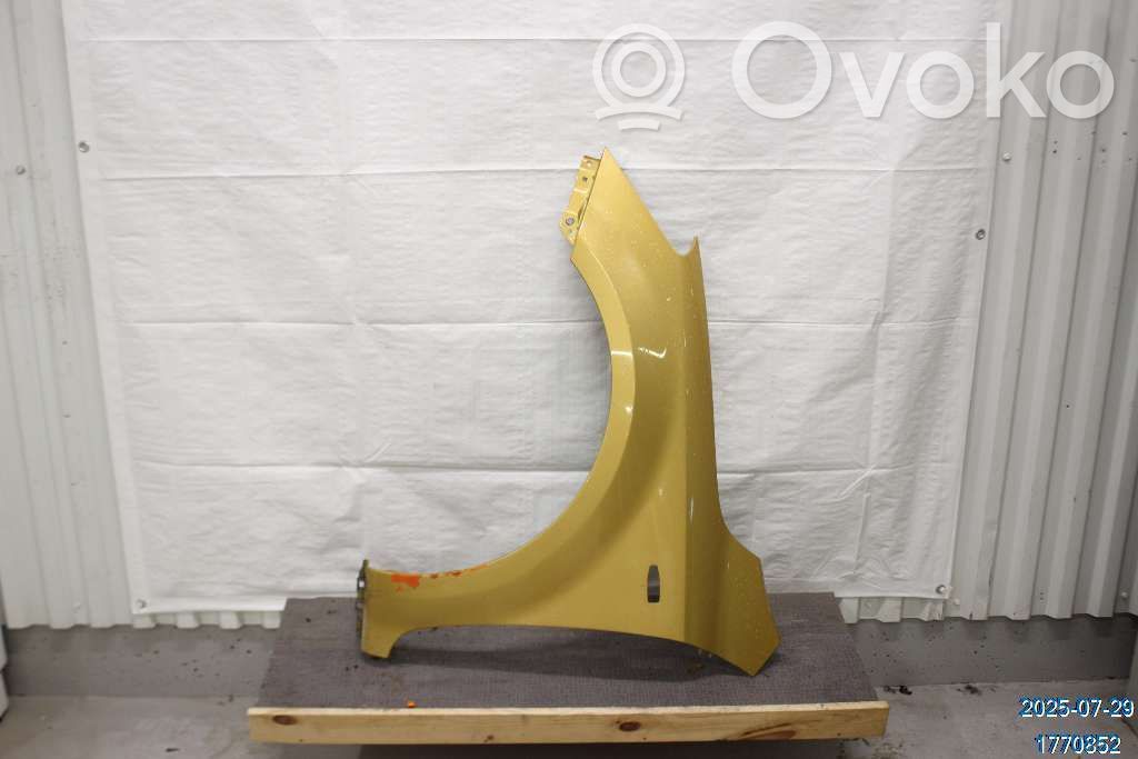 Fender   663111H010