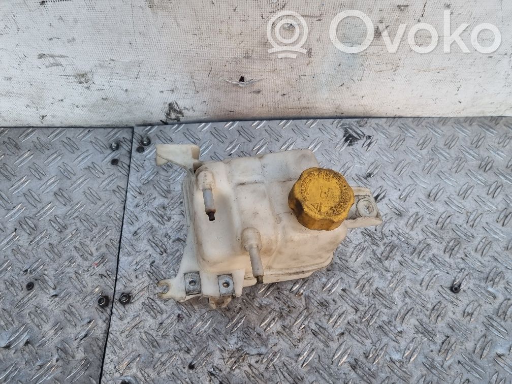 Chevrolet Captiva Aušinimo skysčio išsiplėtimo bakelis 