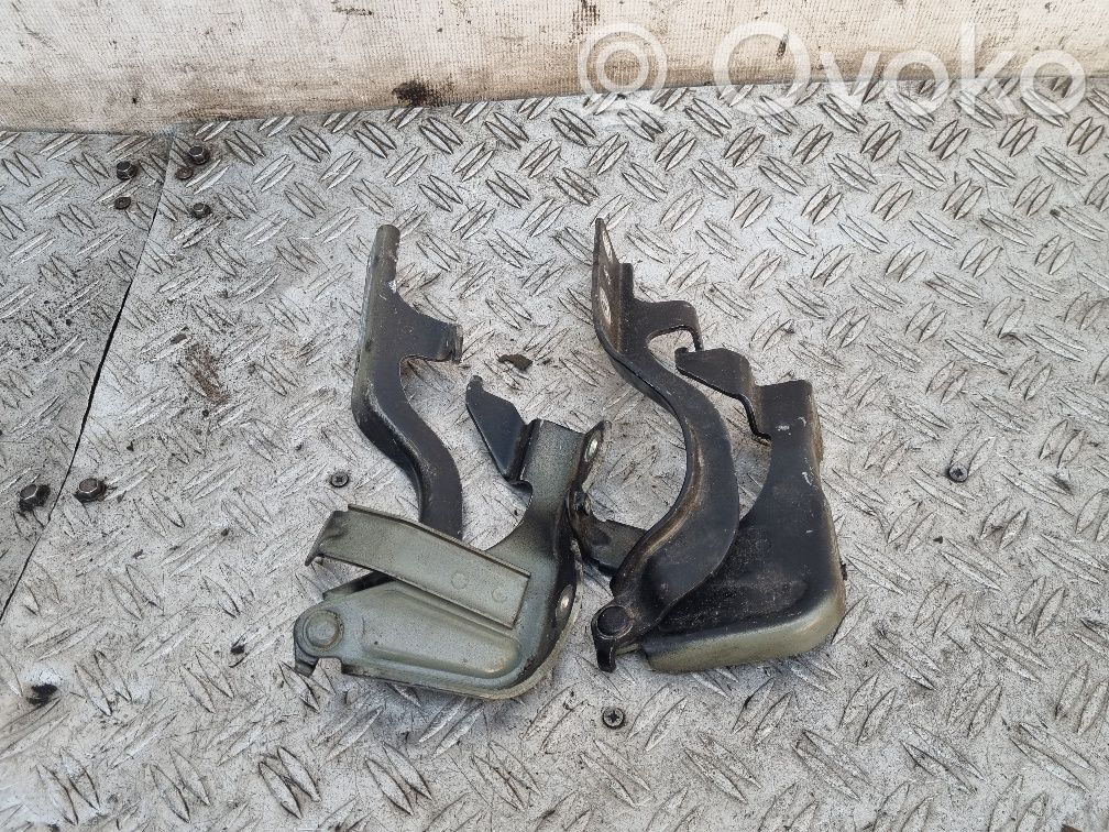 Opel Antara Engine bonnet/hood hinges 