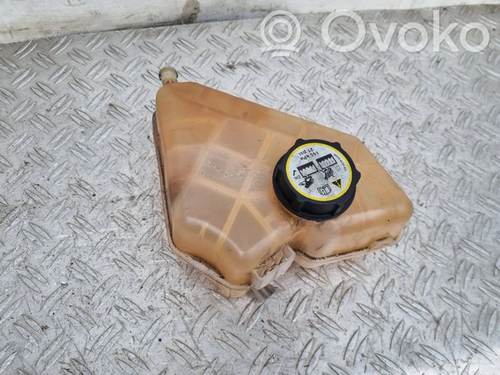 Ford Fiesta Aušinimo skysčio išsiplėtimo bakelis 