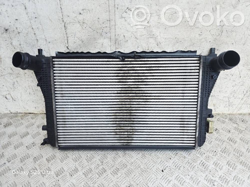 Volkswagen Golf Plus Interkūlerio radiatorius 