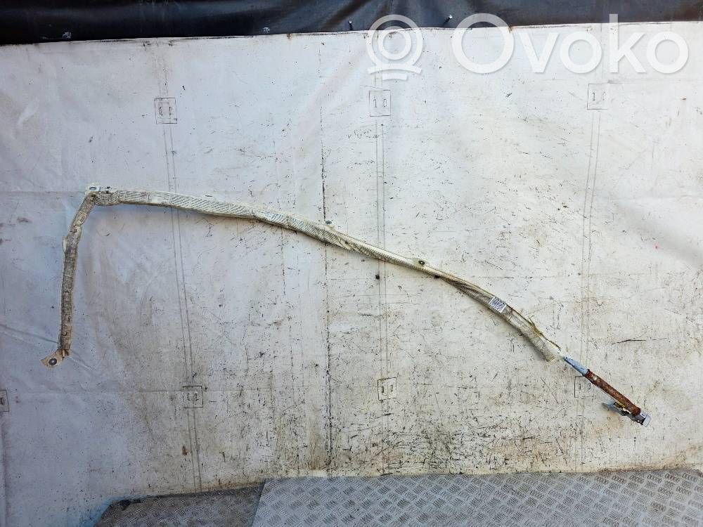 Audi A8 S8 D3 4E Roof airbag 