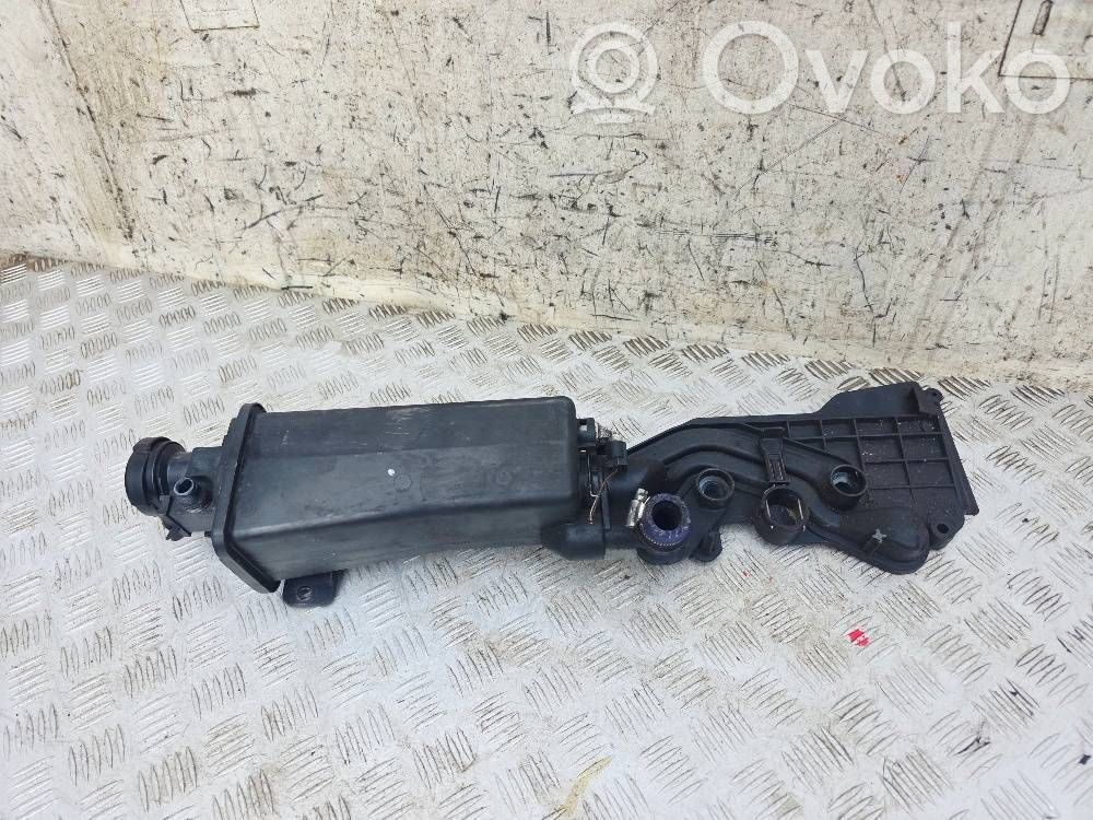BMW X5 E53 Aušinimo skysčio išsiplėtimo bakelis 