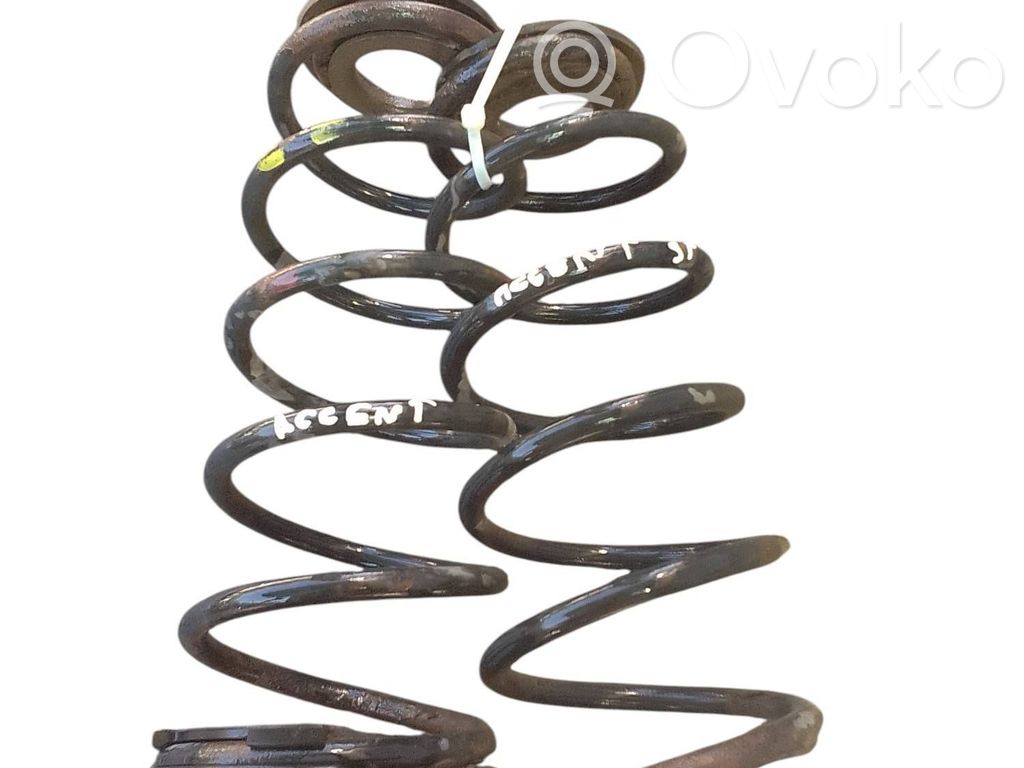 Rear coil spring