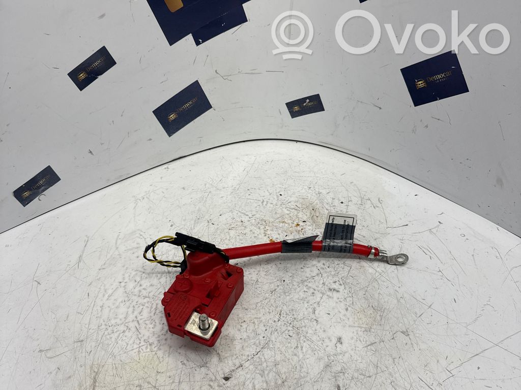 Plusa vads (akumulatora)   6988973,KW2409,9130879