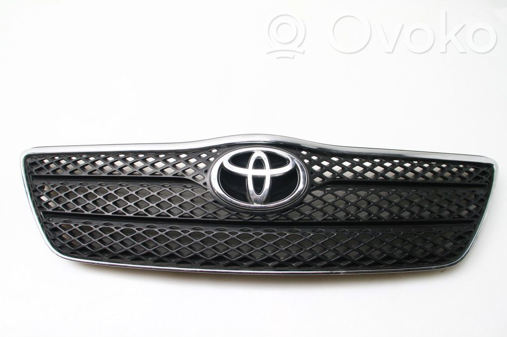 Front grill   3055I010