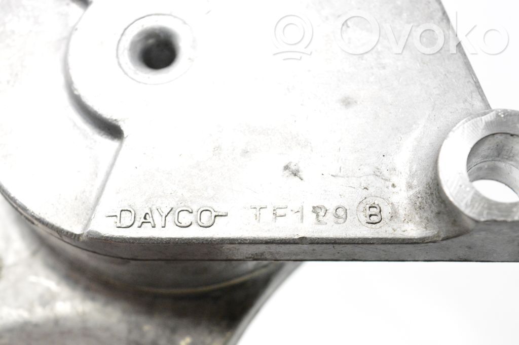 Correa de distribución/tensor de la cadena   TF129B