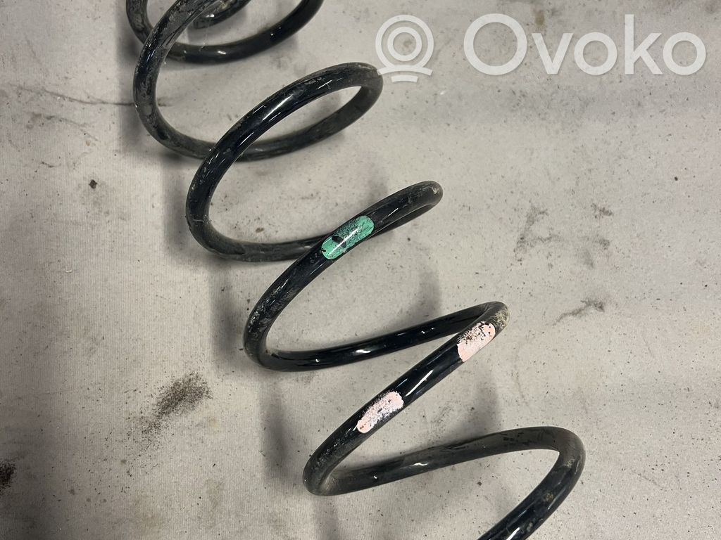 Rear coil spring