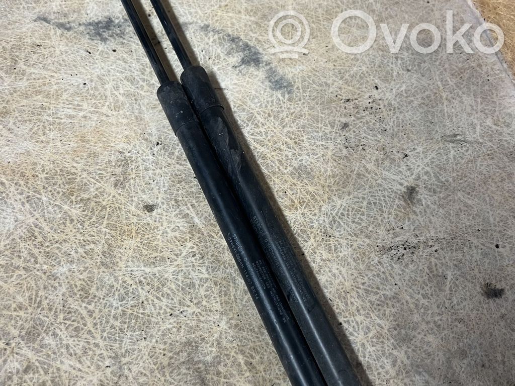 Volvo C30 Tailgate/trunk strut/damper 