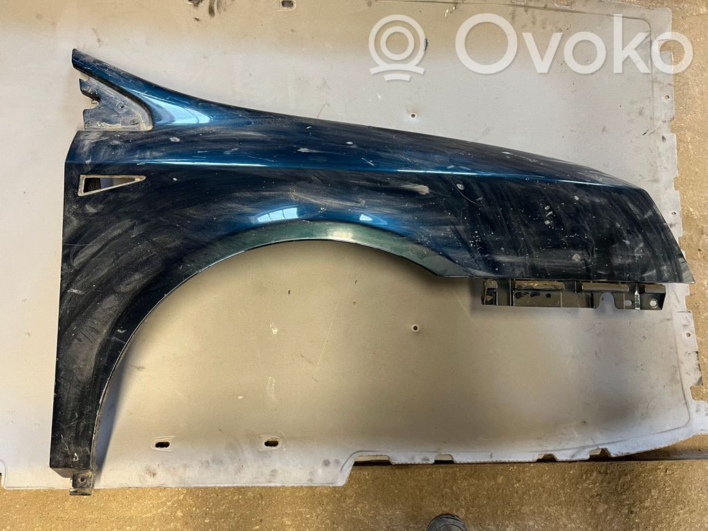 Renault Vel Satis Sparnas 