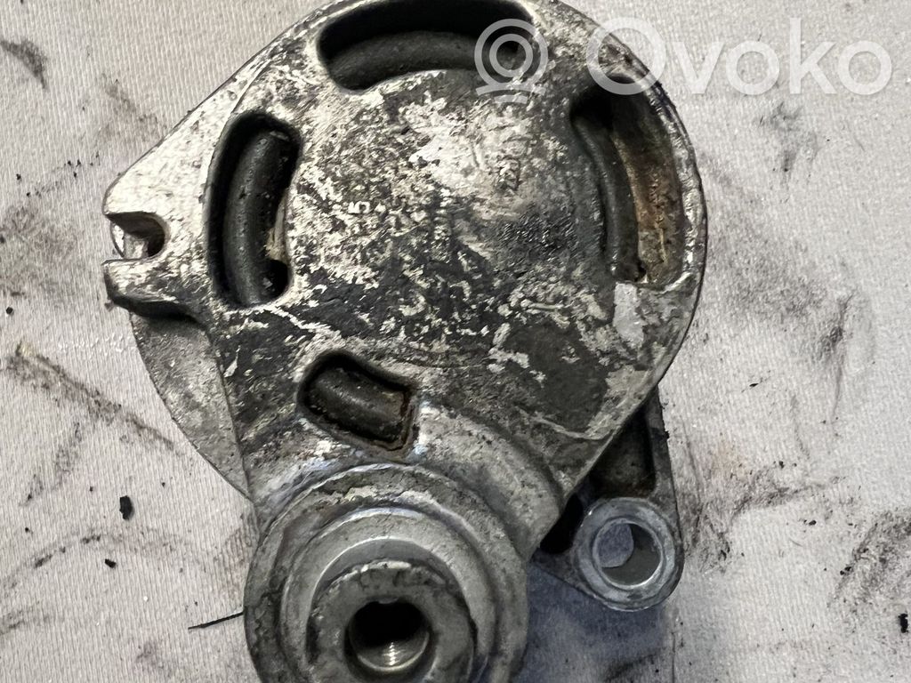 Renault Vel Satis Întinzător curea generator/alternator 