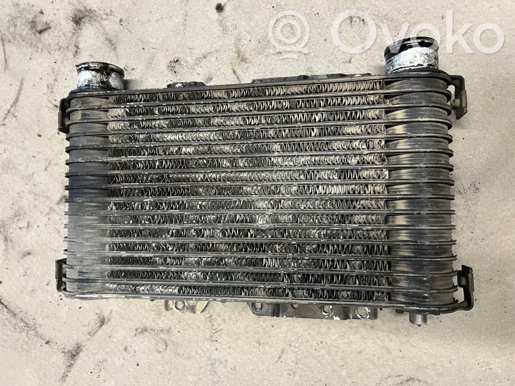 Mitsubishi Pajero Interkūlerio radiatorius 