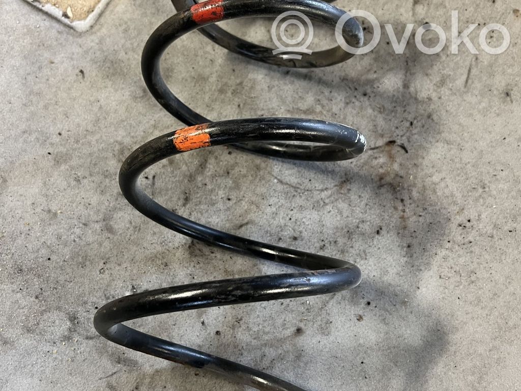 Front coil spring
