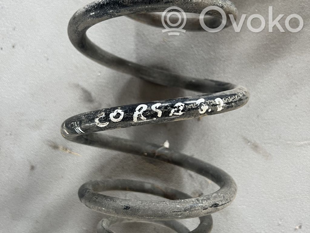 Rear coil spring