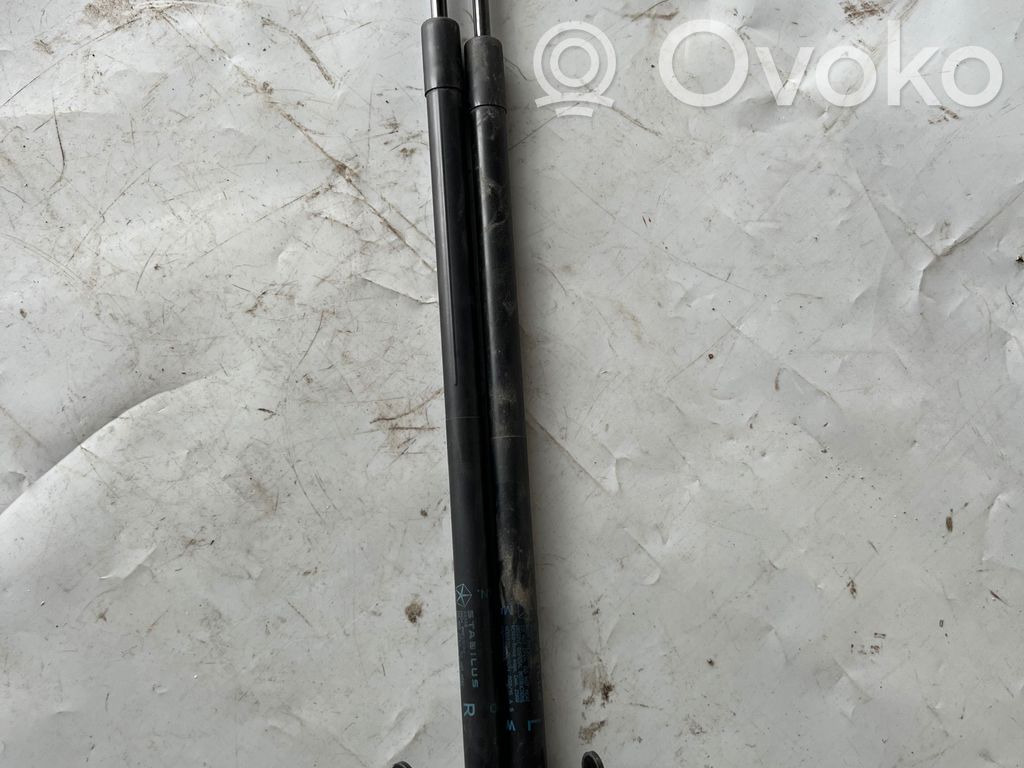 Dodge Durango III Tailgate/trunk strut/damper 