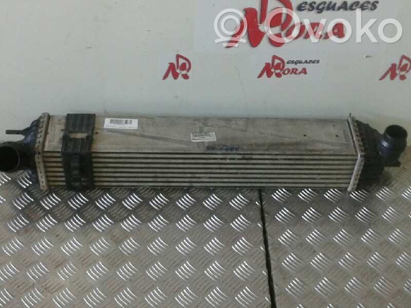 Interkūlerio radiatorius   M4925006,CAJA6