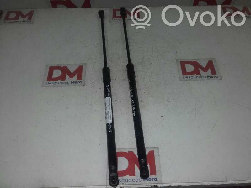 Tailgate/trunk/boot lid buffer