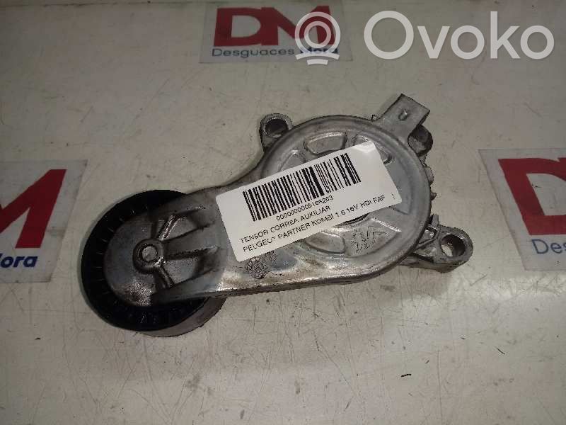 Tendicinghia generatore/alternatore   9807720180