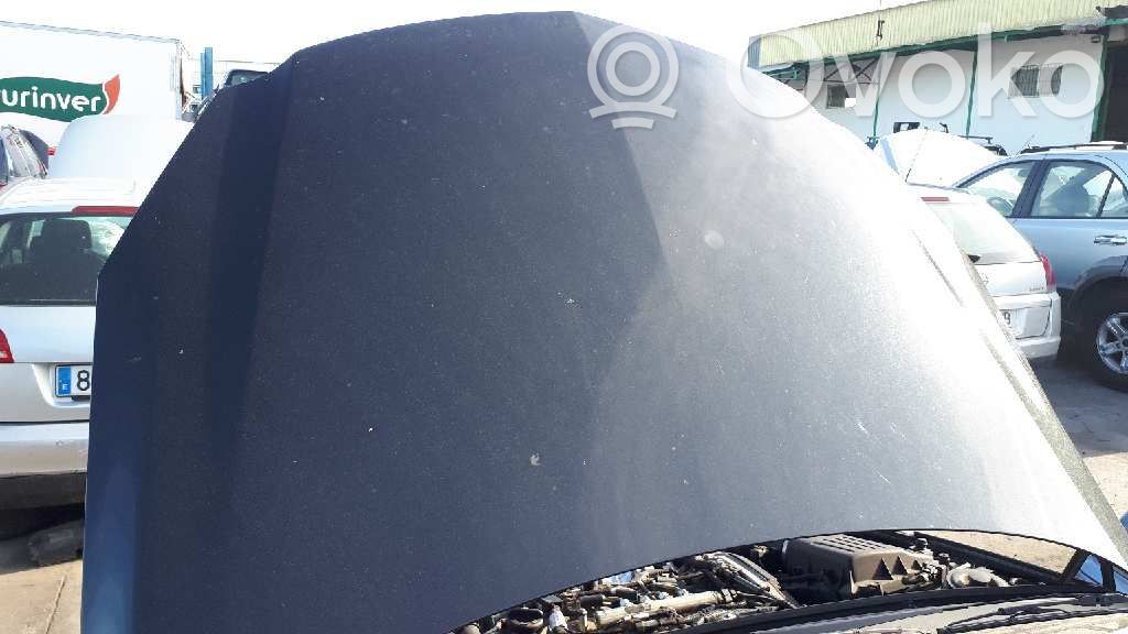 Motorhaube
