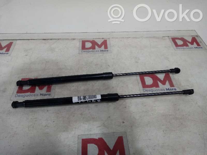 Tailgate/trunk/boot lid buffer