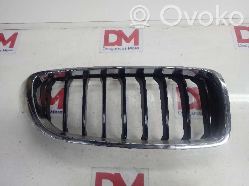 BMW M5 Griglia anteriore 