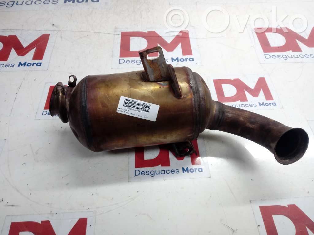 Peugeot 206+ Катализатор / FAP/DPF фильтр твердых частиц 
