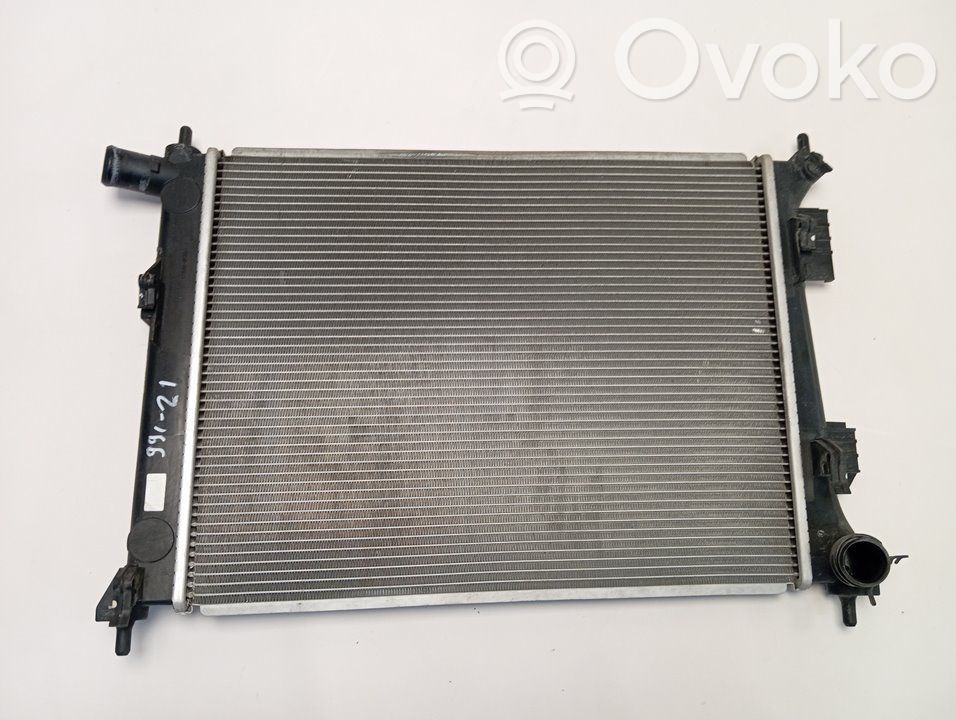Radiatore di raffreddamento   253101RXXX