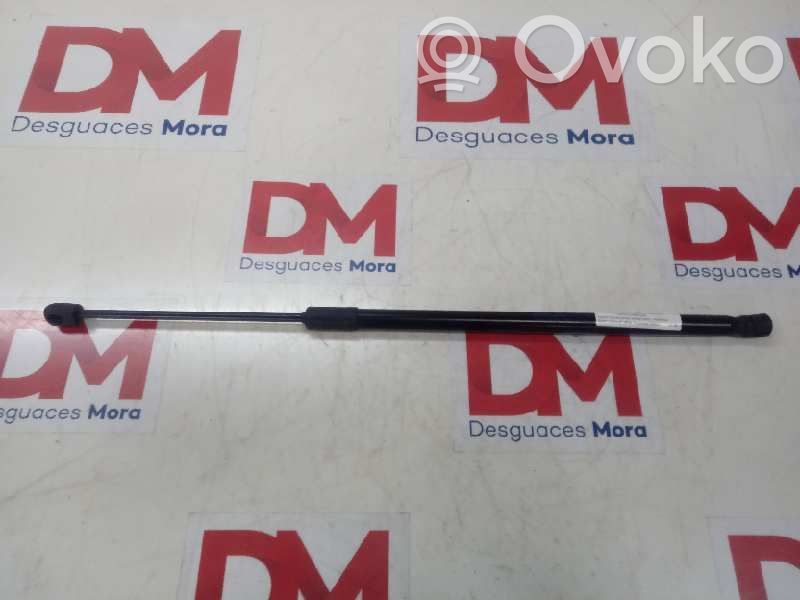 Tailgate/trunk/boot lid buffer   AMPS5F8DGT18