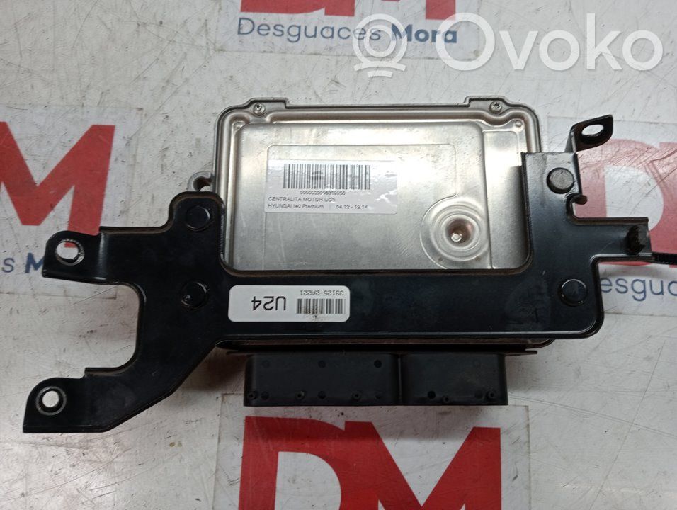 Engine control unit/module   391202A221