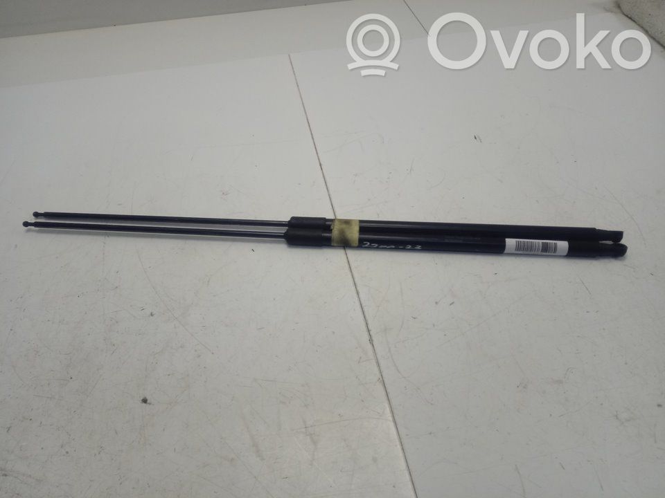 Peugeot 508 Ammortizzatore portellone anteriore/cofano