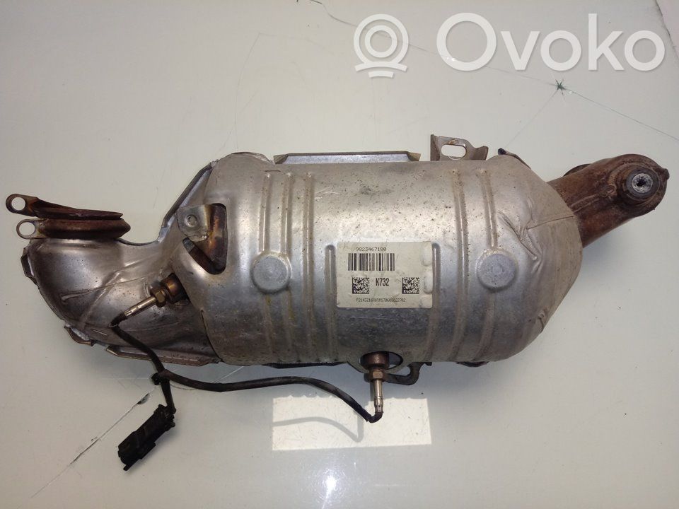 Citroen C3 Filtru de particule catalizator/FAP/DPF 