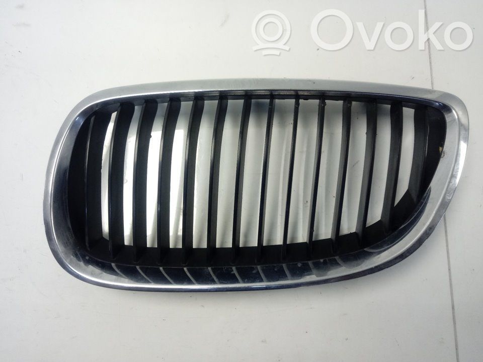 Front grill   22405910