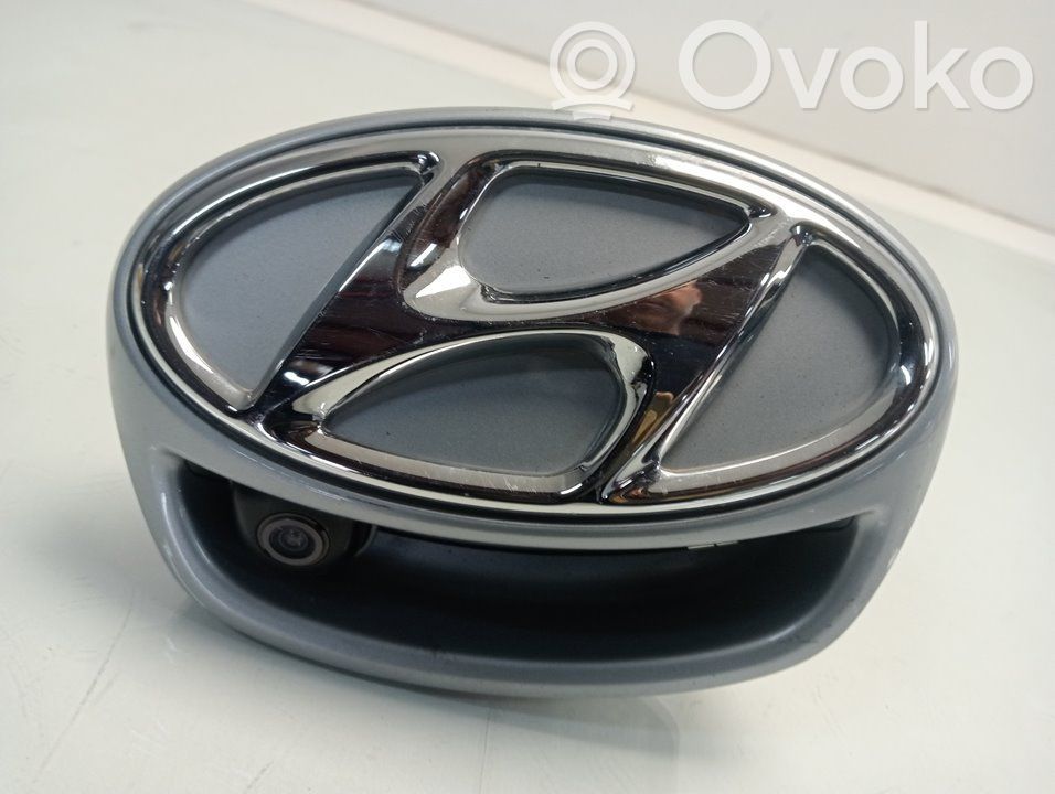 Hyundai Ioniq Manecilla externa puerta trasera 