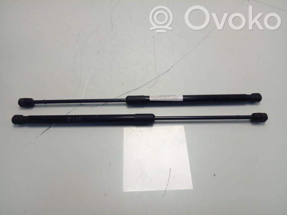 Citroen C4 II Amortiguador del maletero/compartimento de carga 