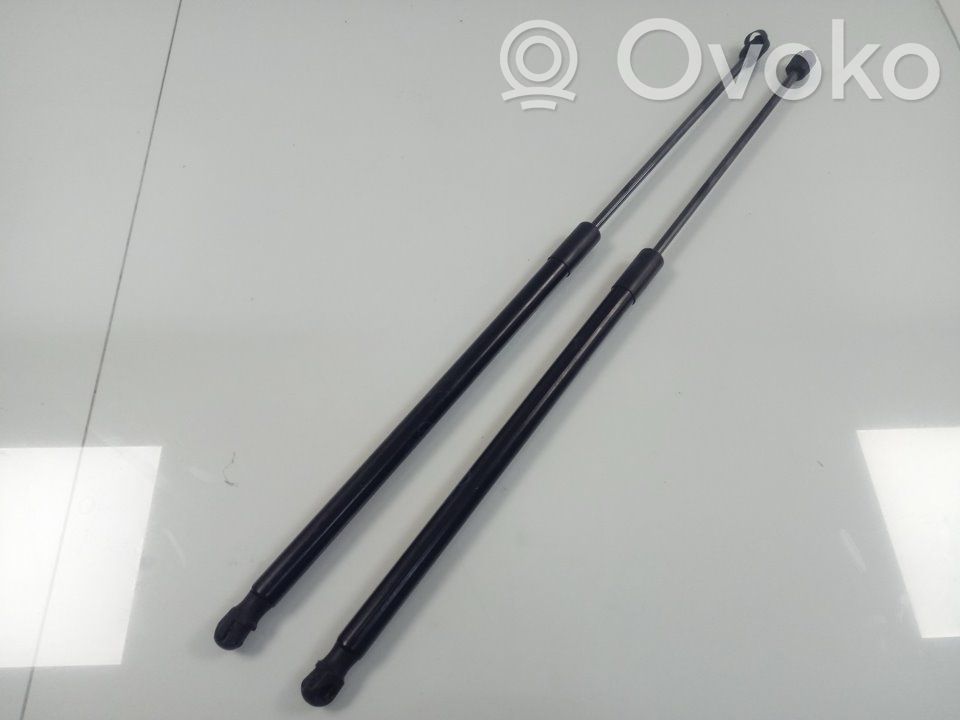 Amortiguador del maletero/compartimento de carga   L1TBS406A10AB