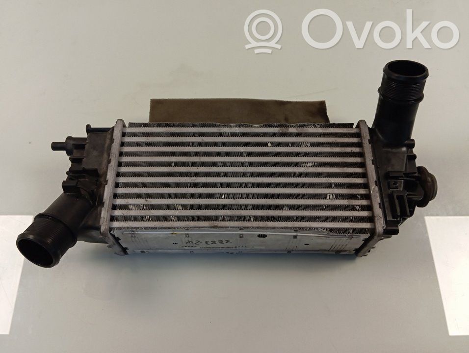 Radiador intercooler   L1BG6D624AB