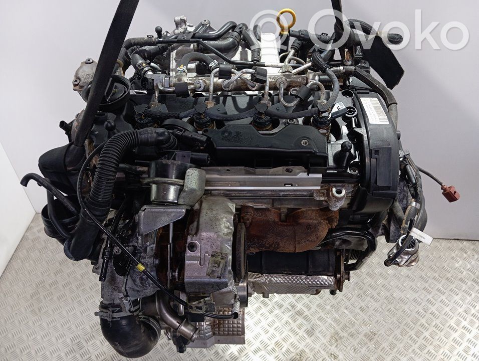 Engine   CUV
