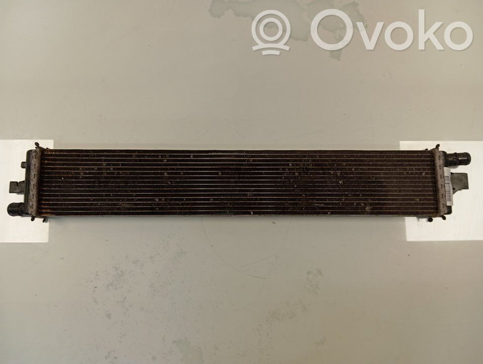 Nissan NV200 Radiatore di raffreddamento 
