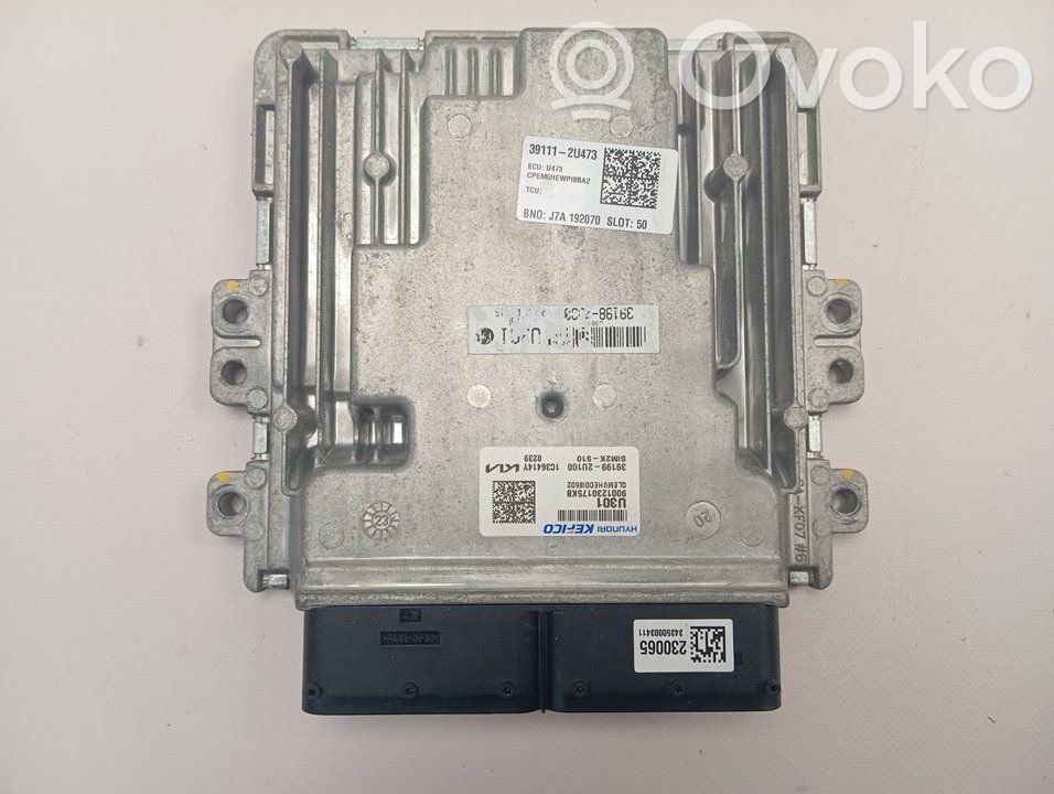 Engine control unit/module   391992U100