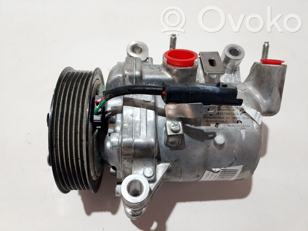 Compresor (pompă) aer condiționat (A/C)   9810349980