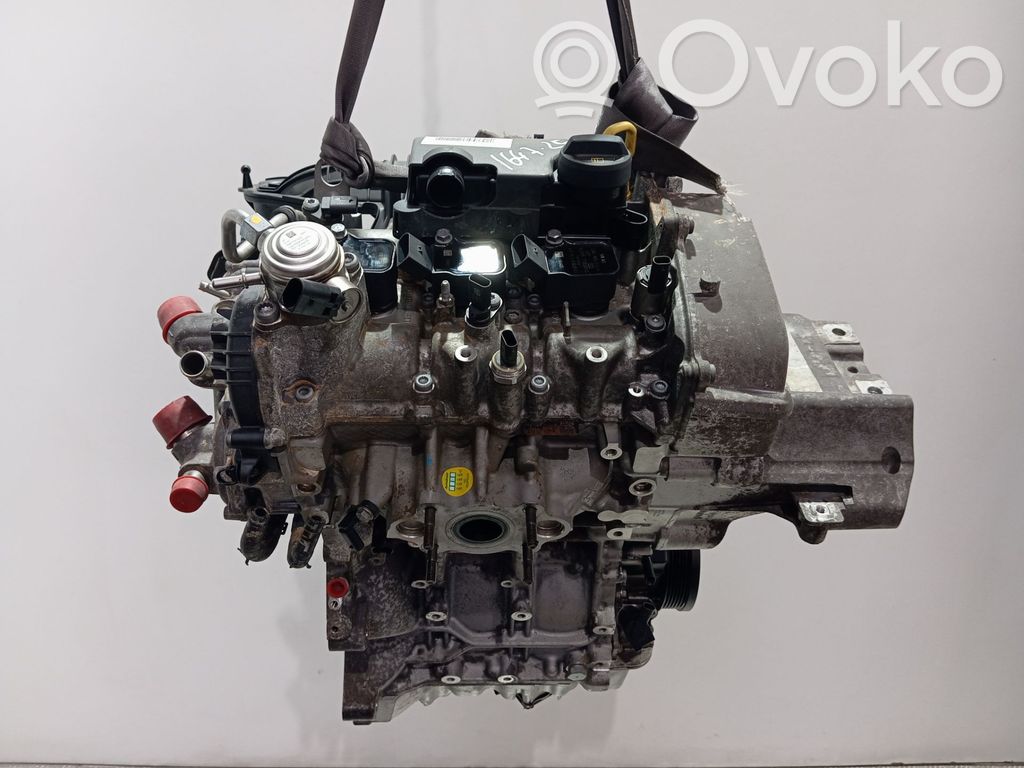 Motor